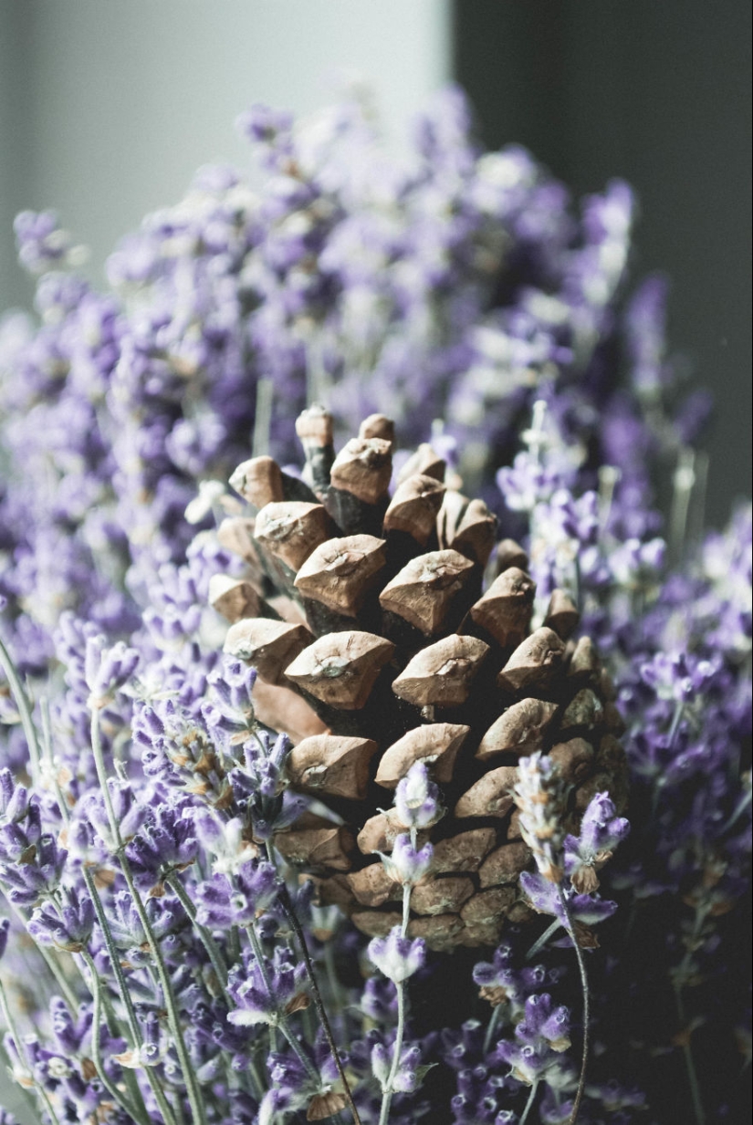 10 simple tips on how to take a fun photo of an ordinary bump