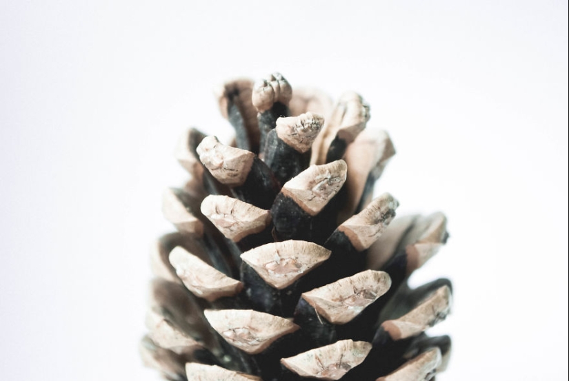 10 simple tips on how to take a fun photo of an ordinary bump