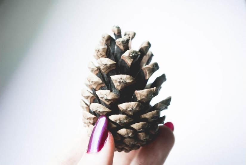 10 simple tips on how to take a fun photo of an ordinary bump