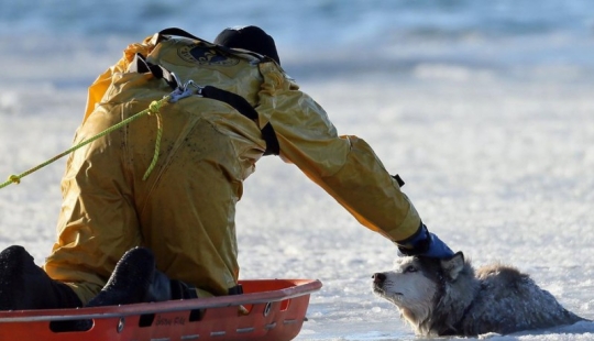 10 stories that prove that it is kindness that will save the world