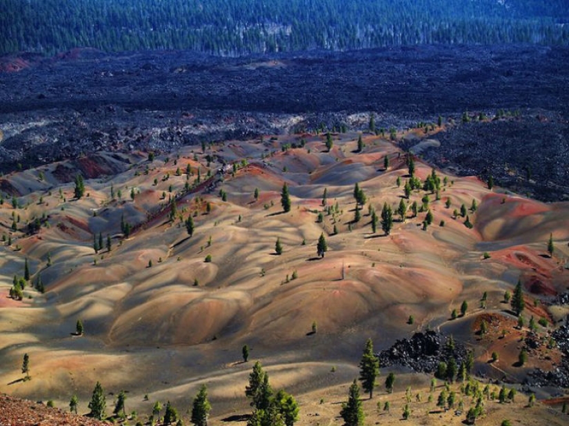 10 stunning photos that look suspiciously like paintings