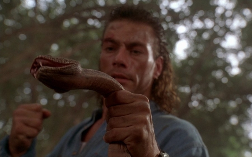 10 survival movie myths that don't bode well 10 survival movie myths that don't bode well