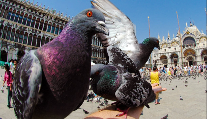 10 unusual prohibitions that tourists may encounter 10 unusual prohibitions that tourists may encounter