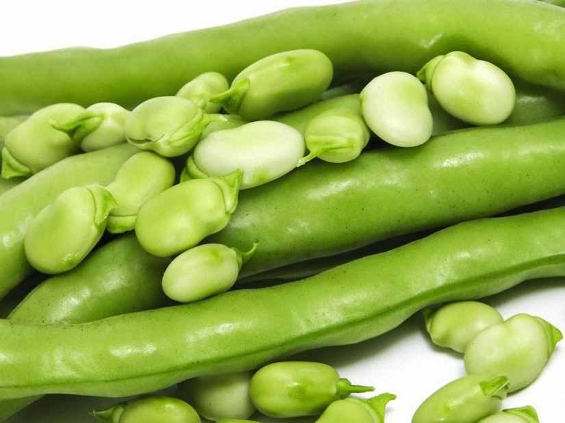 10 ways to protect yourself from cancer 10 ways to protect yourself from cancer