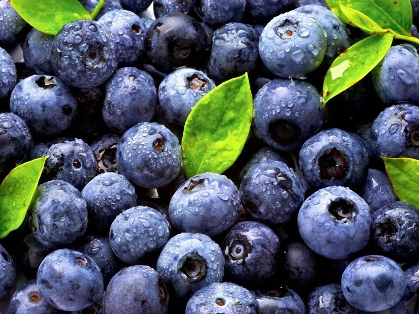 10 ways to protect yourself from cancer 10 ways to protect yourself from cancer