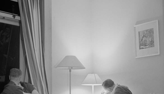 11 hectares of free women