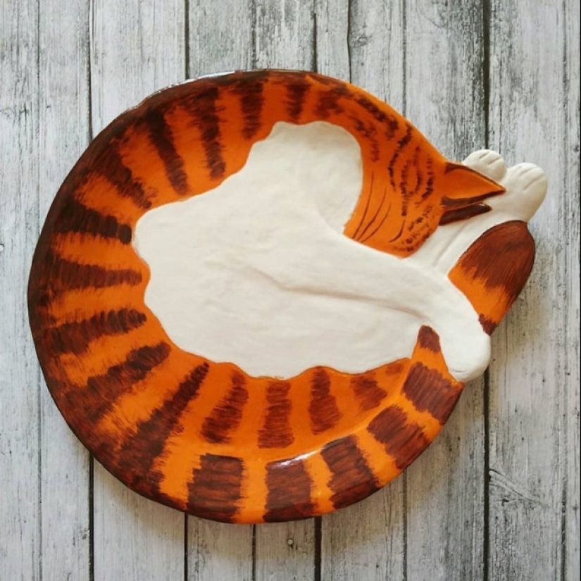 12 beautiful decorative plates in the form of snugly curled cats 12 beautiful decorative plates in the form of snugly curled cats