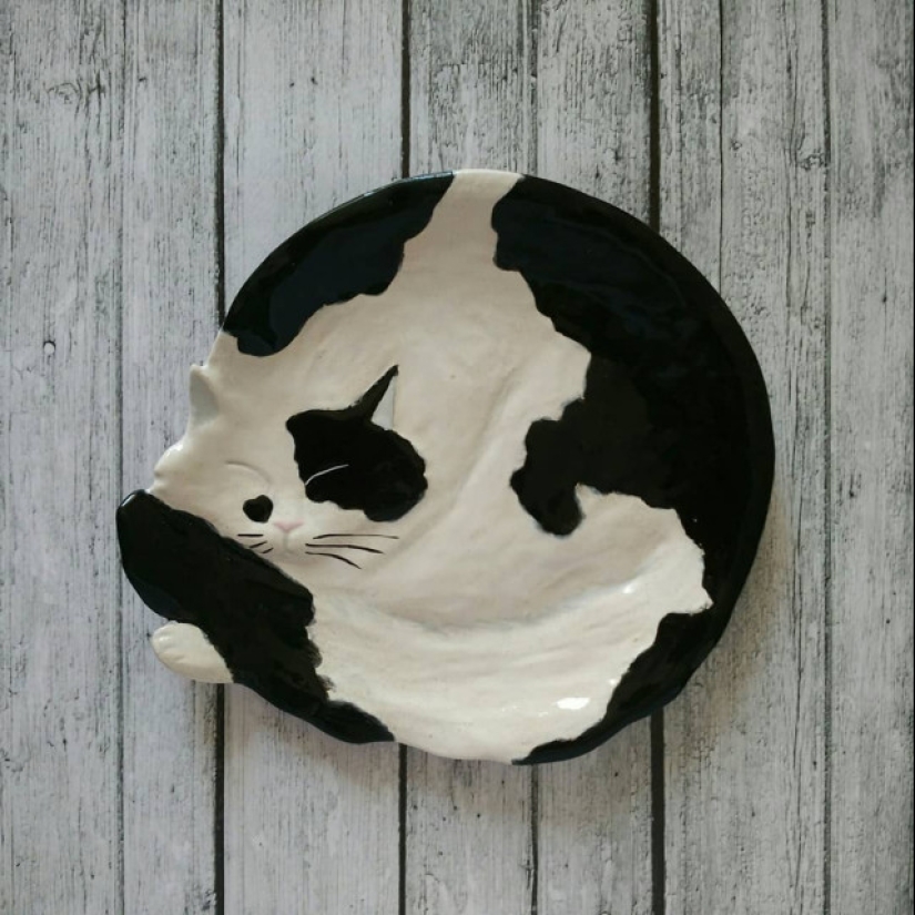 12 beautiful decorative plates in the form of snugly curled cats 12 beautiful decorative plates in the form of snugly curled cats