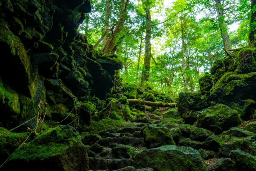 12 lugares más misteriosos del planeta 12 lugares más misteriosos del planeta