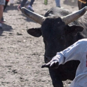 12 most extreme selfies