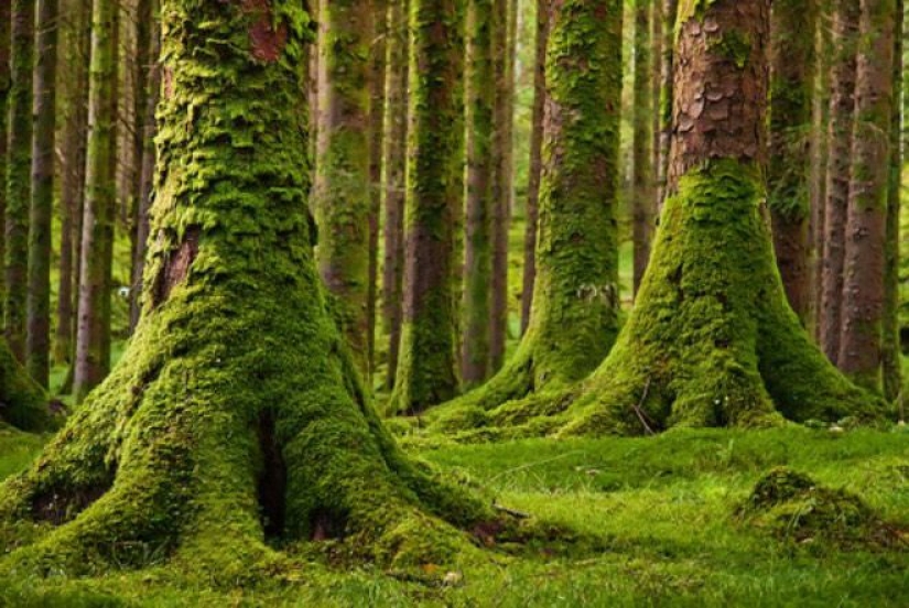 12 myths about survival that pose a real danger 12 myths about survival that pose a real danger