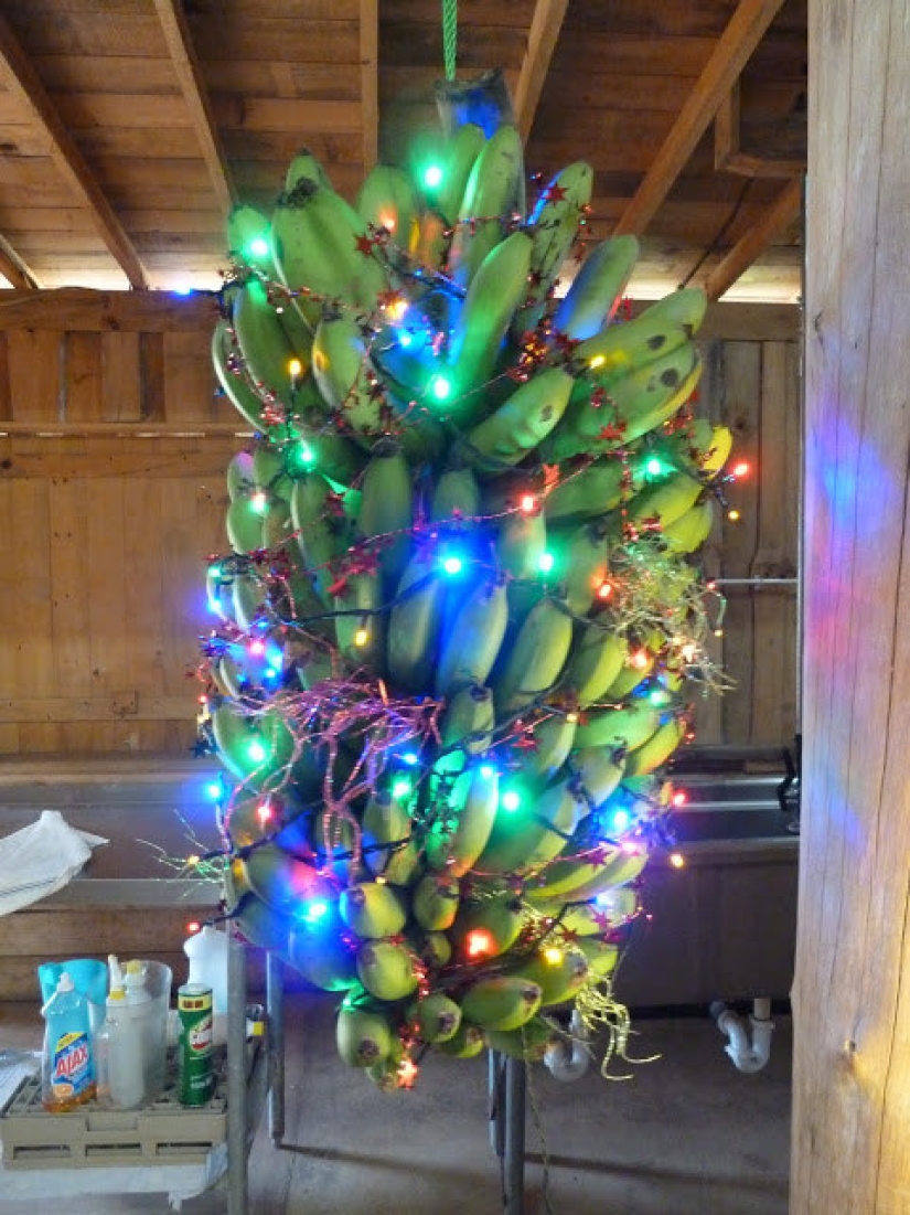 12 tradiciones navideñas que te sorprenderán