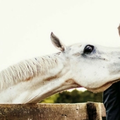 12 wedding photos that were ruined by some brute