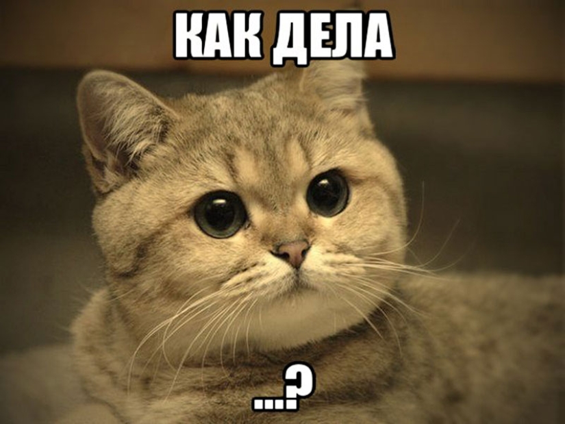 13 habits that only our person has