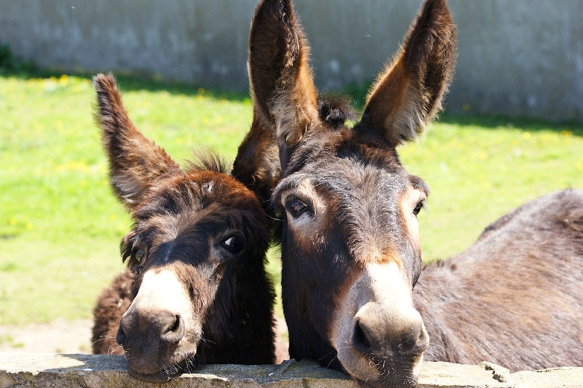 13 inspiring facts about airplanes 13 inspiring facts about airplanes