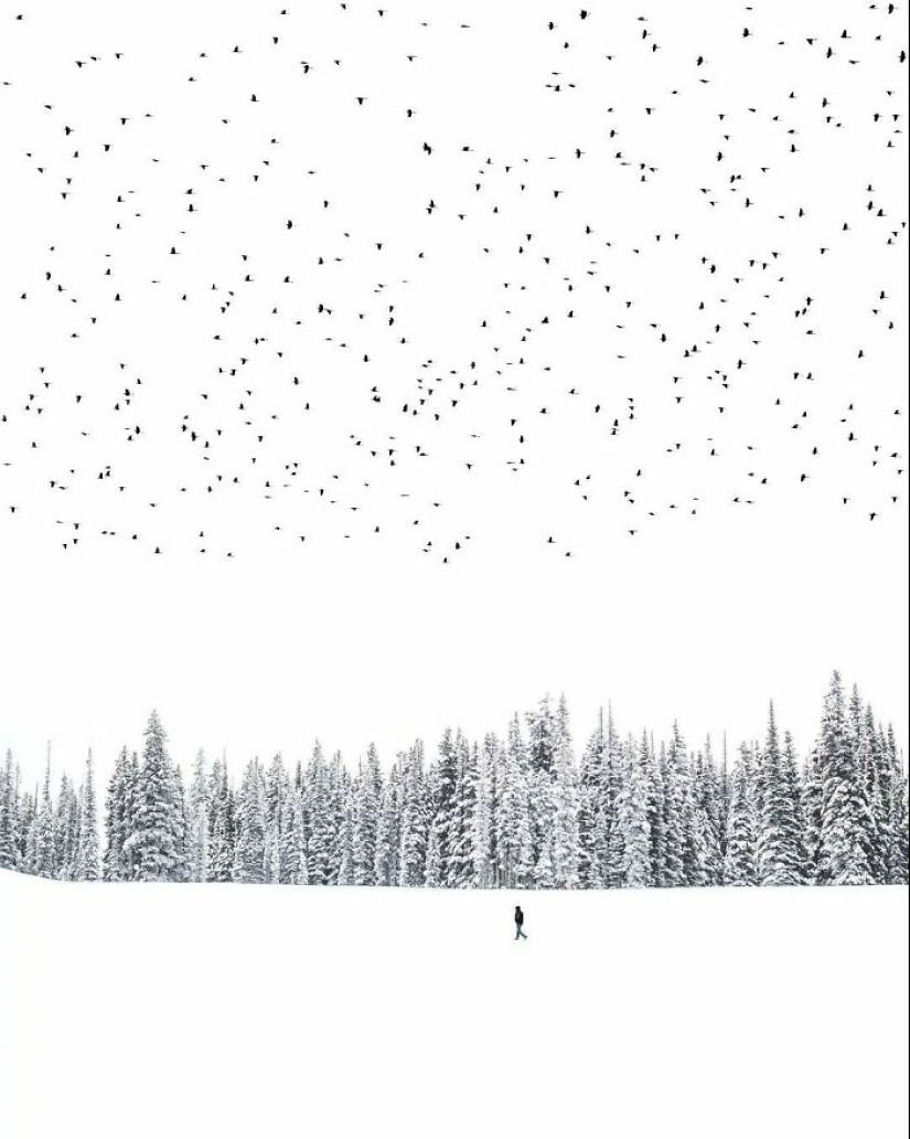 13 obras de arte fotográfico meditativas realizadas por Benjamin Wolf 13 obras de arte fotográfico meditativas realizadas por Benjamin Wolf