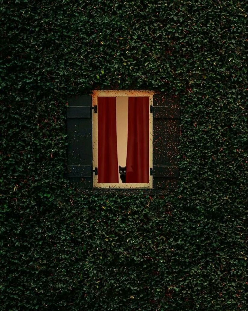 13 obras de arte fotográfico meditativas realizadas por Benjamin Wolf 13 obras de arte fotográfico meditativas realizadas por Benjamin Wolf