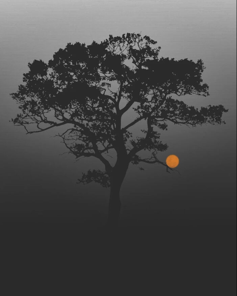 13 obras de arte fotográfico meditativas realizadas por Benjamin Wolf 13 obras de arte fotográfico meditativas realizadas por Benjamin Wolf