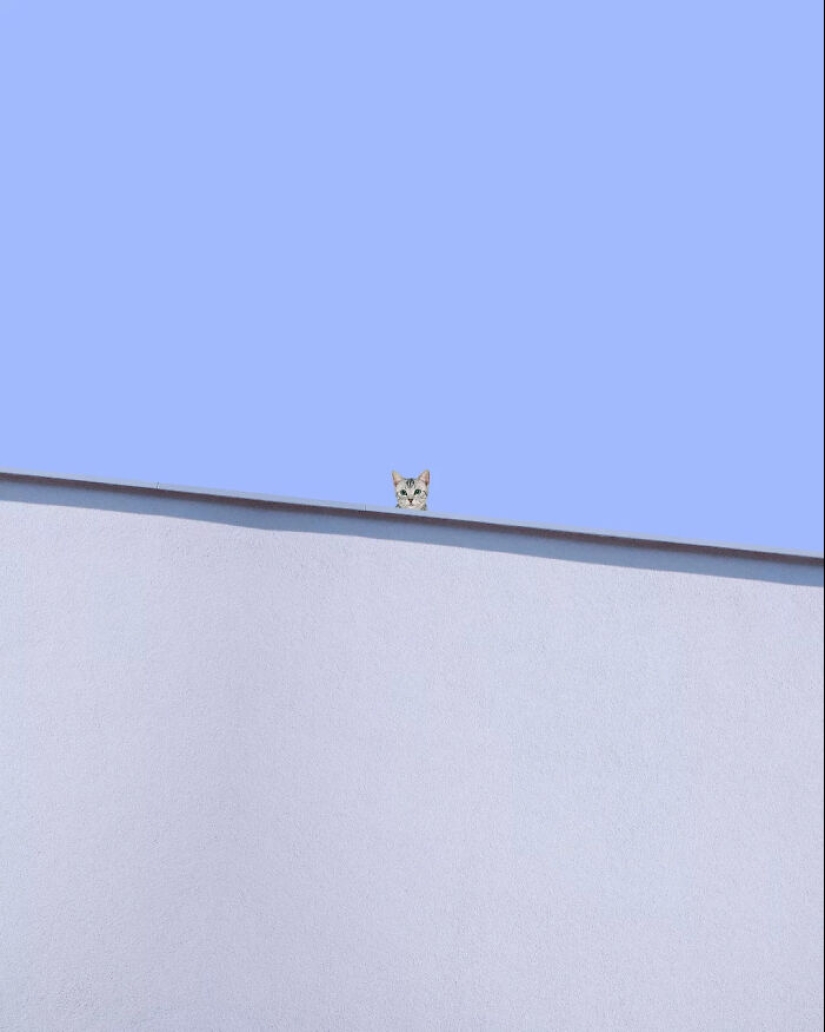 13 obras de arte fotográfico meditativas realizadas por Benjamin Wolf 13 obras de arte fotográfico meditativas realizadas por Benjamin Wolf