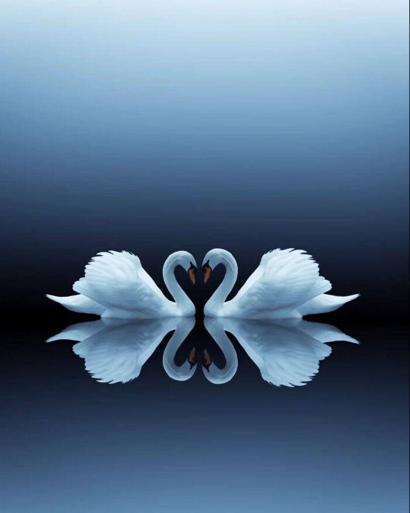 13 obras de arte fotográfico meditativas realizadas por Benjamin Wolf 13 obras de arte fotográfico meditativas realizadas por Benjamin Wolf