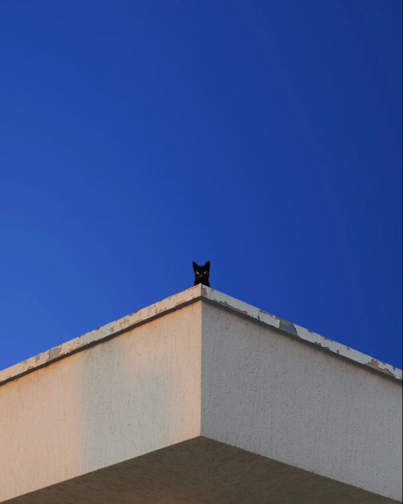 13 obras de arte fotográfico meditativas realizadas por Benjamin Wolf 13 obras de arte fotográfico meditativas realizadas por Benjamin Wolf