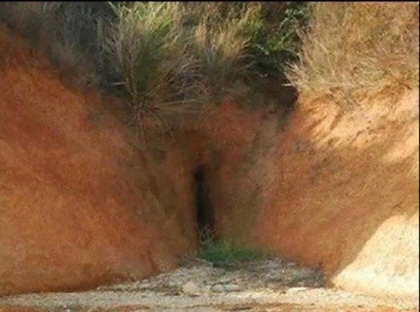 13 ordinary photos that only spoiled people will find indecent 13 ordinary photos that only spoiled people will find indecent