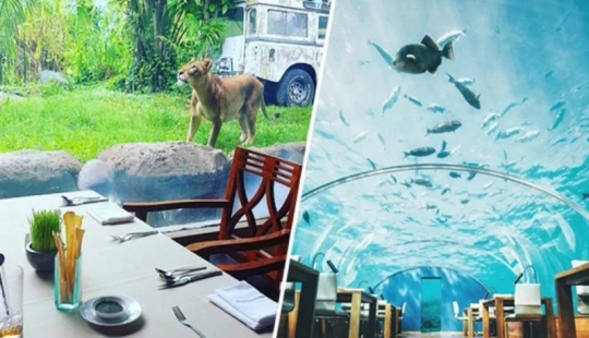 13 restaurants that are in the most unexpected places