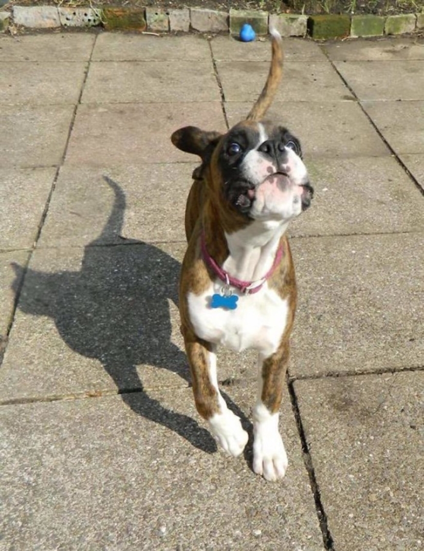 13 sombras extrañas que no son lo que parecen 13 sombras extrañas que no son lo que parecen