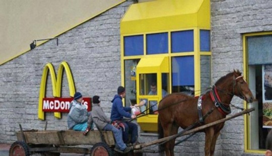 14 photos of concentrated Russian color 14 photos of concentrated Russian color