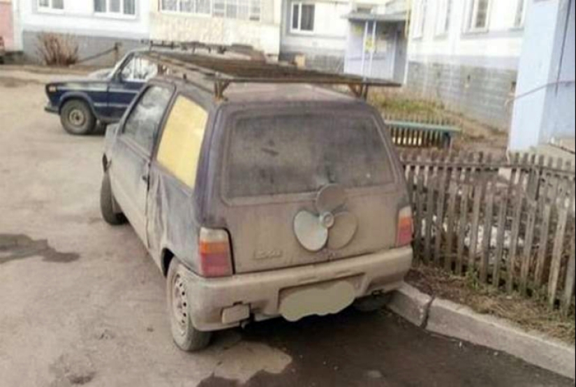 14 photos of concentrated Russian color 14 photos of concentrated Russian color