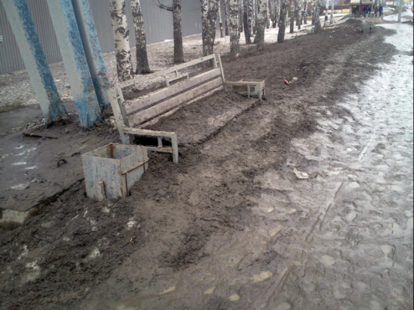 14 photos of concentrated Russian color 14 photos of concentrated Russian color