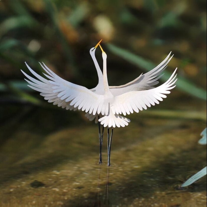 14 Realistic Tiny Paper Sculptures Of Animals That This Duo Has Created