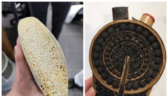 15 amazing photos of how some things look in the cross section 15 amazing photos of how some things look in the cross section