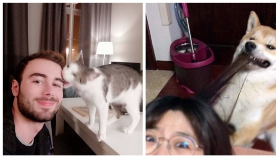 15 animales descarriados que no quieren ser fotografiados