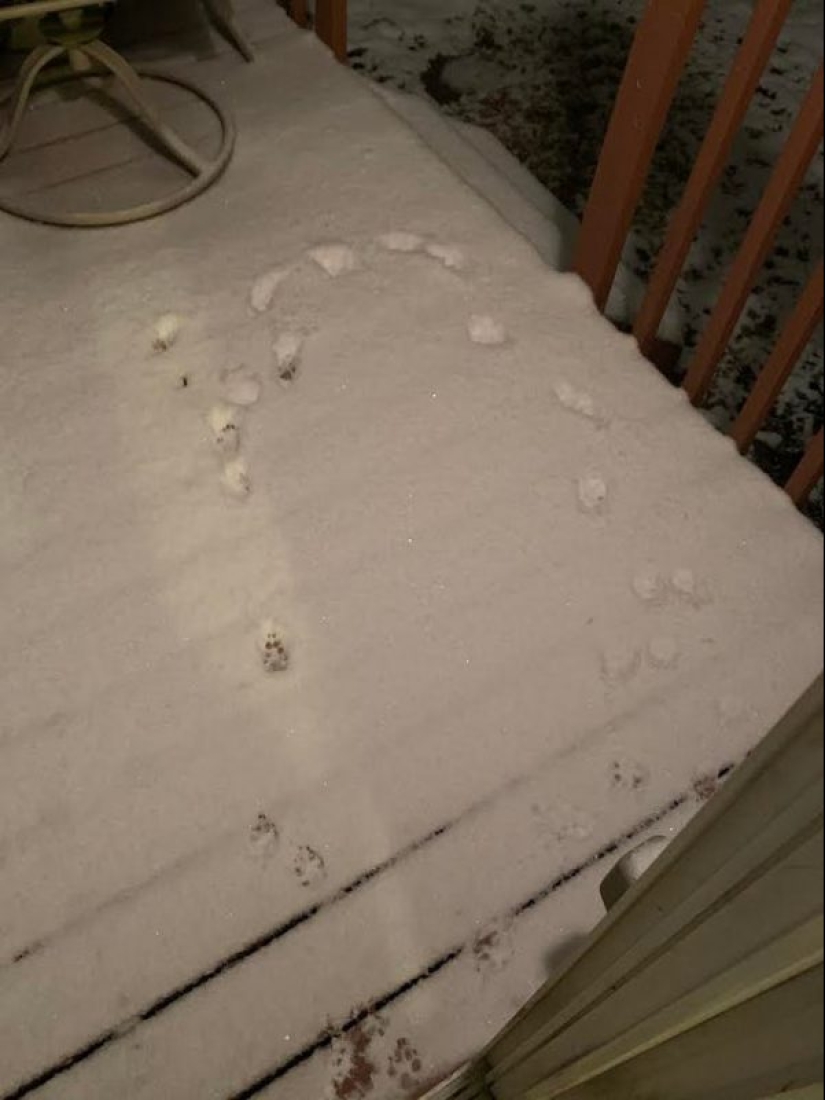 15 bromistas, que en el infierno preparado una caldera separada 15 bromistas, que en el infierno preparado una caldera separada