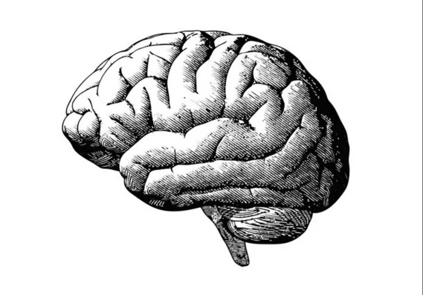 15 datos interesantes que te harán una maravilla imprintable en voz alta