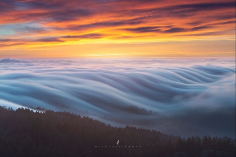 15 fotografías impresionantes que muestran los patrones y texturas de la naturaleza Por Michael Hindman