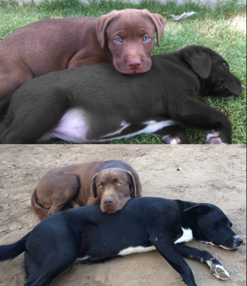 15 fotos bonitas que muestran cómo casi todo cambia bajo la influencia del tiempo 15 fotos bonitas que muestran cómo casi todo cambia bajo la influencia del tiempo