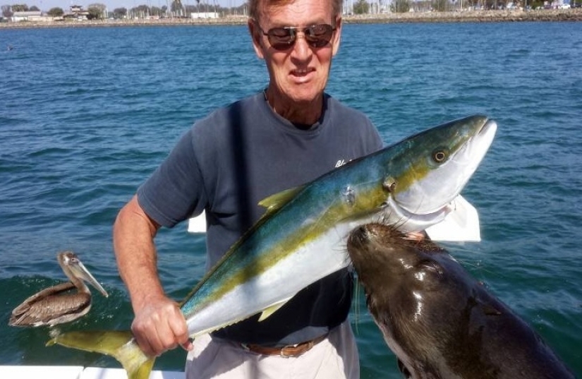 15+ fotos donde el fondo se soluciona todo