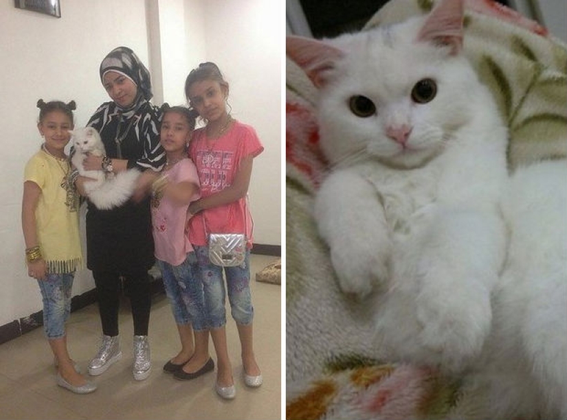 15 fotos que harán tu día un poco mejor