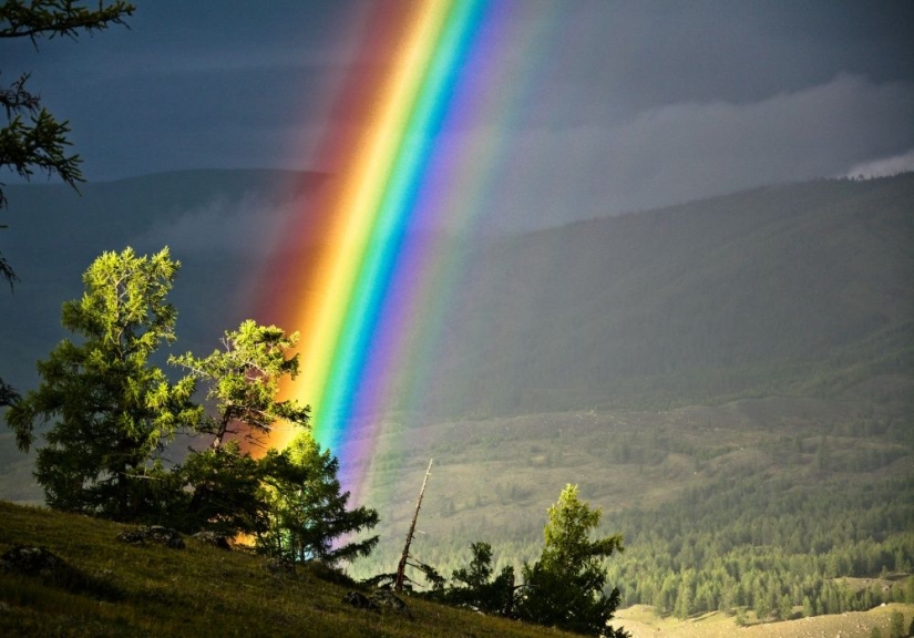 15 photos about wild nature - the most unknown thing on earth