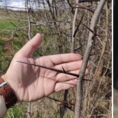 15 photos of extraordinary objects and phenomena