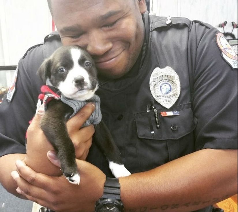 15 photos that will make your day a little better 15 photos that will make your day a little better