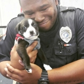 15 photos that will make your day a little better