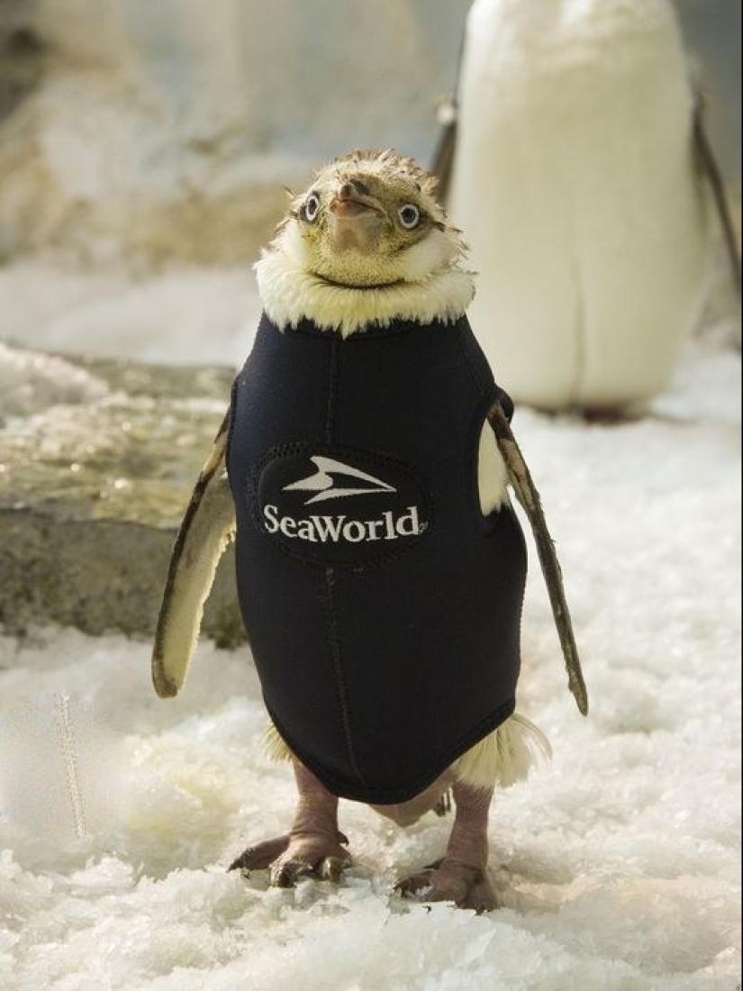 15 photos that will make your day a little better