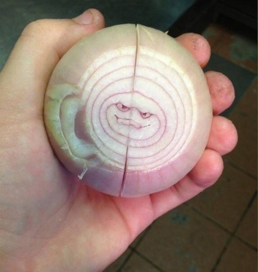 15 photos that will delight your inner perfectionist 15 photos that will delight your inner perfectionist