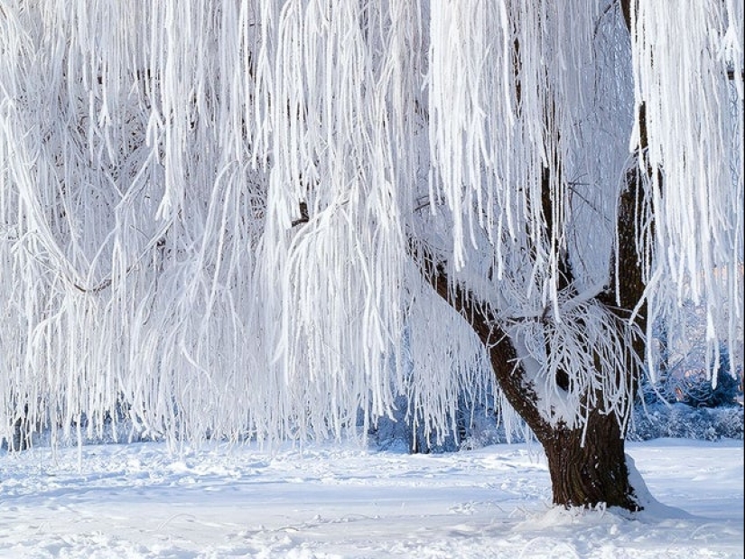 15 photos that will delight your inner perfectionist 15 photos that will delight your inner perfectionist