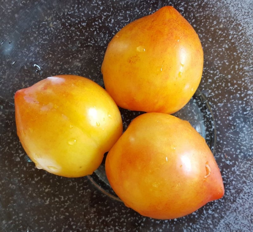 15 photos that will delight your inner perfectionist 15 photos that will delight your inner perfectionist