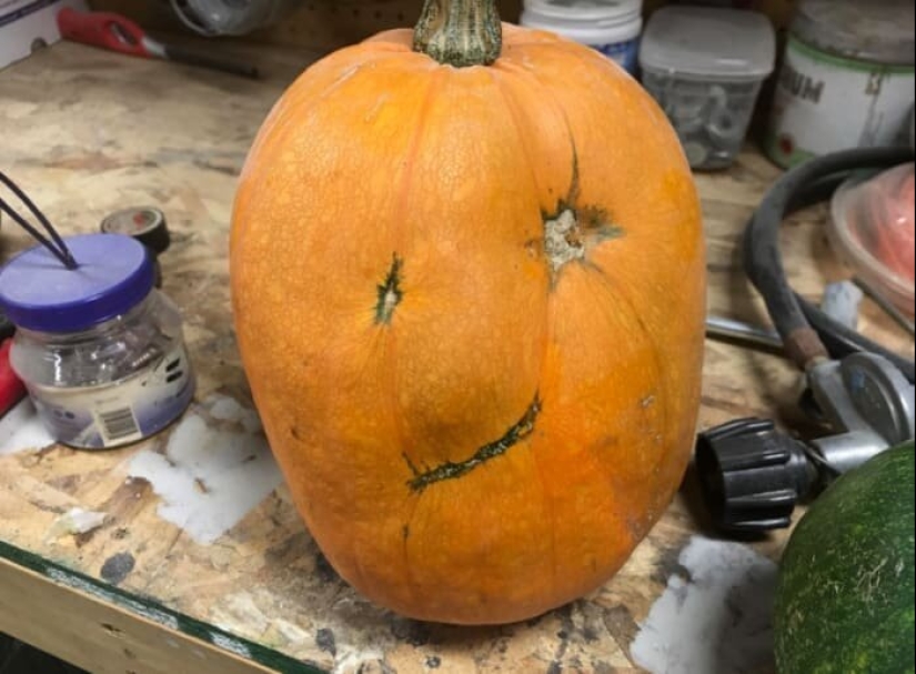 15 photos where ordinary things took a very unusual form 15 photos where ordinary things took a very unusual form