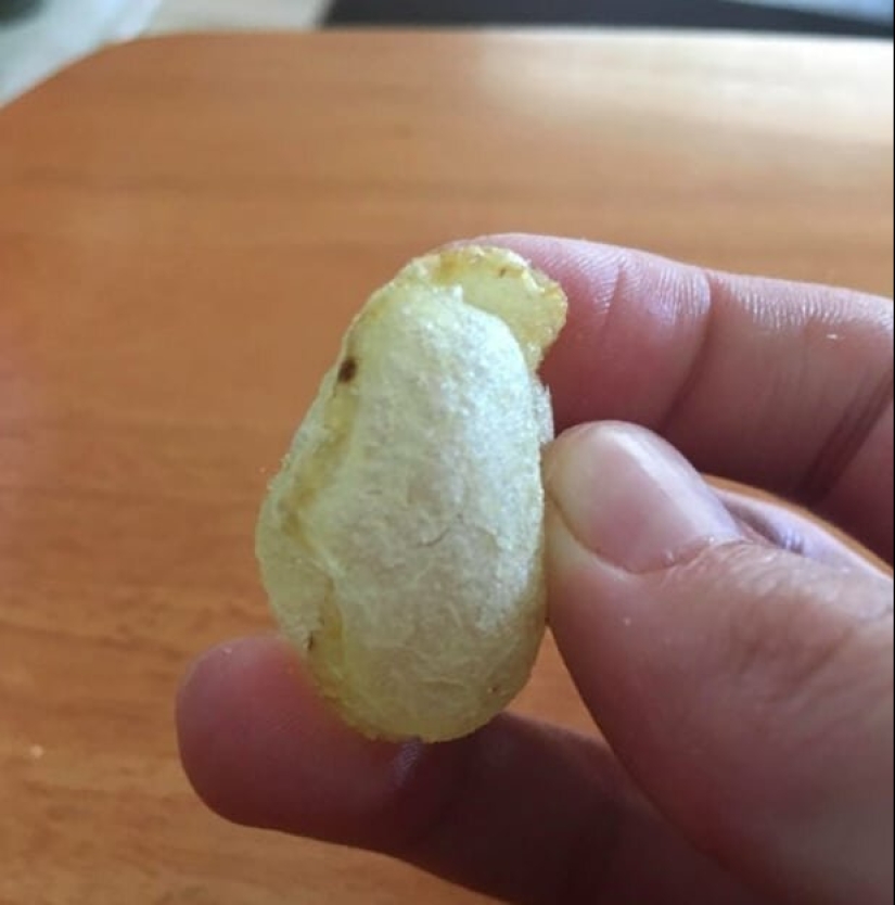 15 photos where ordinary things took a very unusual form 15 photos where ordinary things took a very unusual form